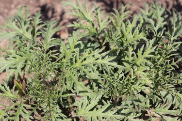 Similar image 2877484