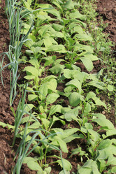 Similar image 2877488