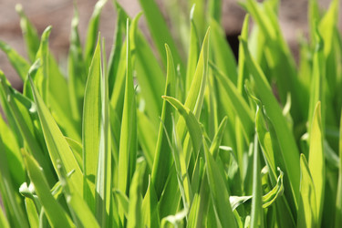 Similar image 2877490