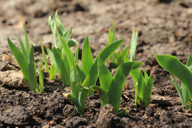 Similar image 2877491