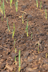 Similar image 2877492