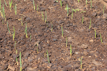 Similar image 2877493