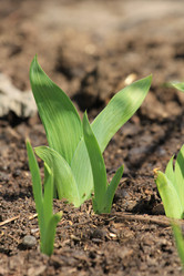 Similar image 2877495