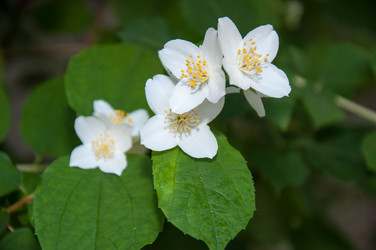 Similar image 2877573