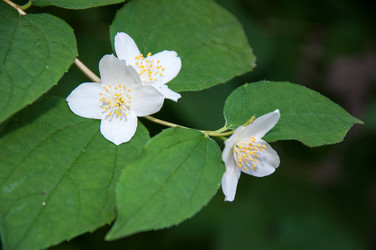 Similar image 2877593