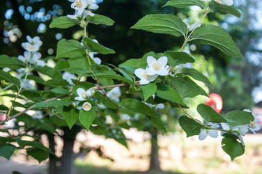 Similar image 2877594