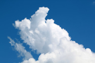 Similar image 2877596