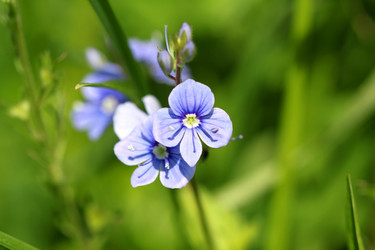 Similar image 2877597