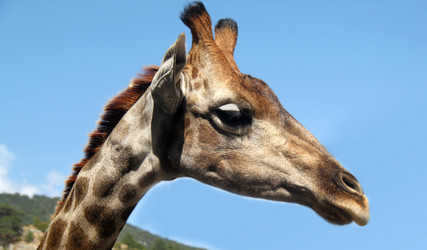 Similar image 2877628