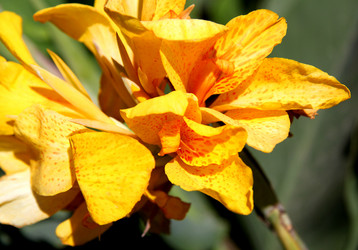 Similar image 2877629