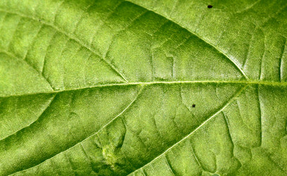 Similar image 2877637