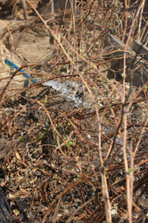 Similar image 2877657