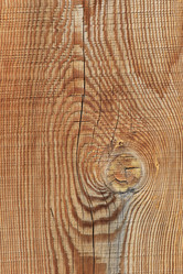 Similar image 2877663