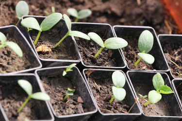 Similar image 2877665