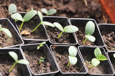 Similar image 2877666