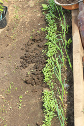 Similar image 2877667