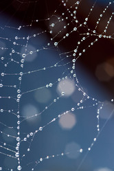 Similar image 2877676