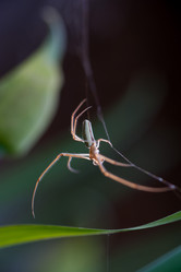 Similar image 2877685