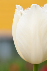 Similar image 2877692