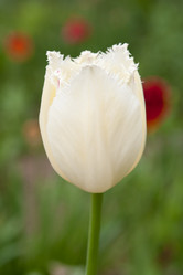 Similar image 2877693