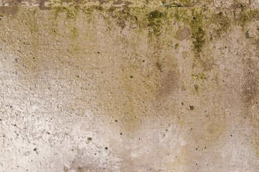 Similar image 2877721