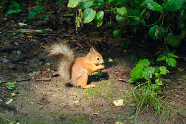 Similar image 2877777