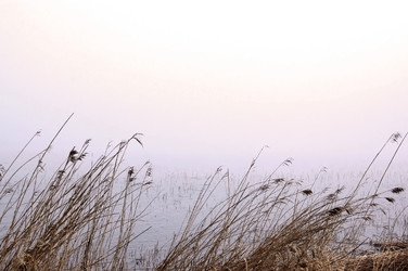 Similar image 2877786