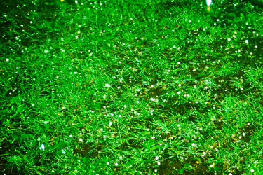 Similar image 2877806