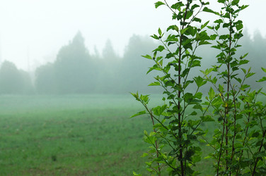 Similar image 2877807