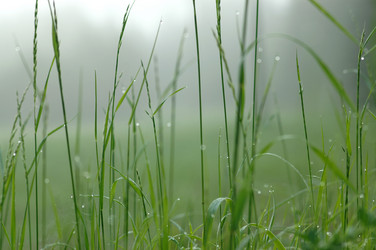 Similar image 2877808