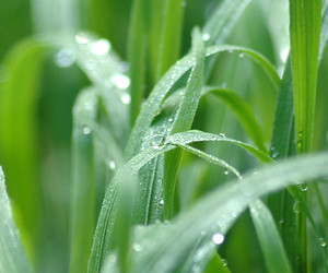 Similar image 2877810