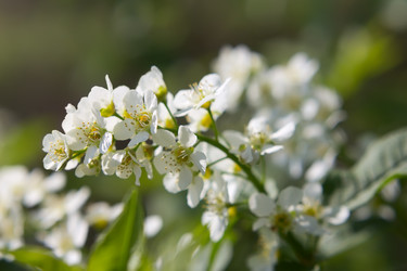 Similar image 2877853