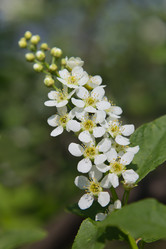 Similar image 2877854