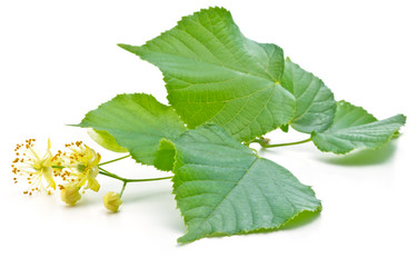 Similar image 2877883