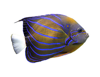 Similar image 2877903