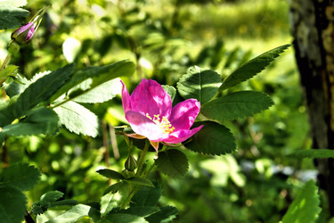 Similar image 2877925