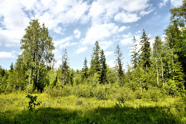 Similar image 2877926