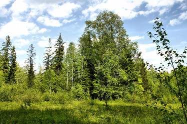 Similar image 2877927