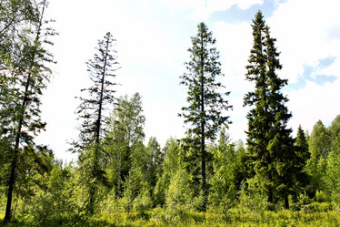 Similar image 2877928