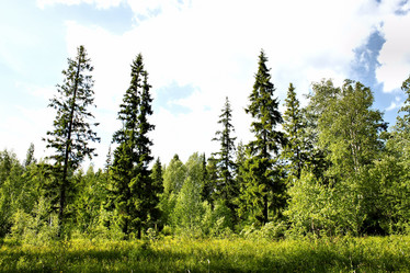 Similar image 2877929