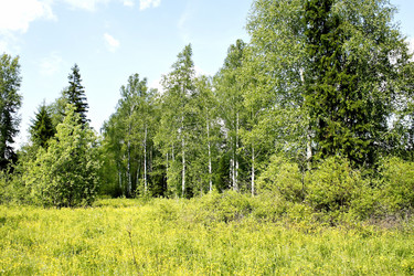 Similar image 2877930