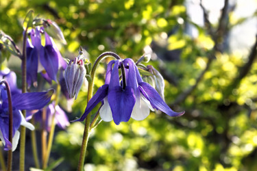 Similar image 2877931