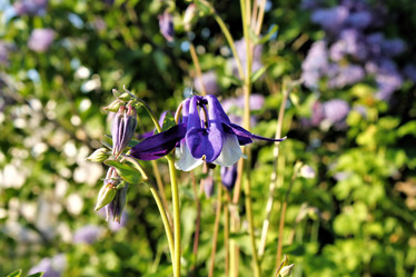 Similar image 2877932