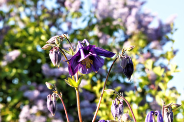 Similar image 2877933