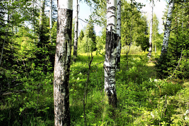 Similar image 2877934