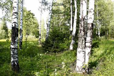 Similar image 2877935