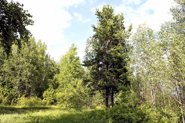 Similar image 2877942