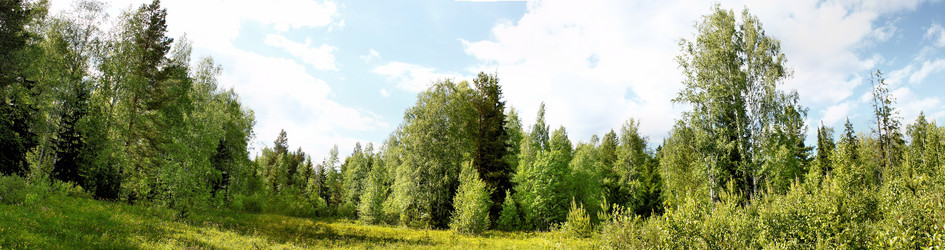 Similar image 2877946