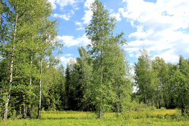 Similar image 2877947