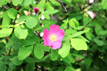 Similar image 2877948